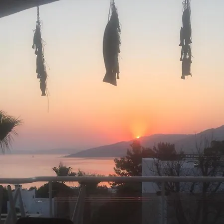 Guest house Nur Villa Torba